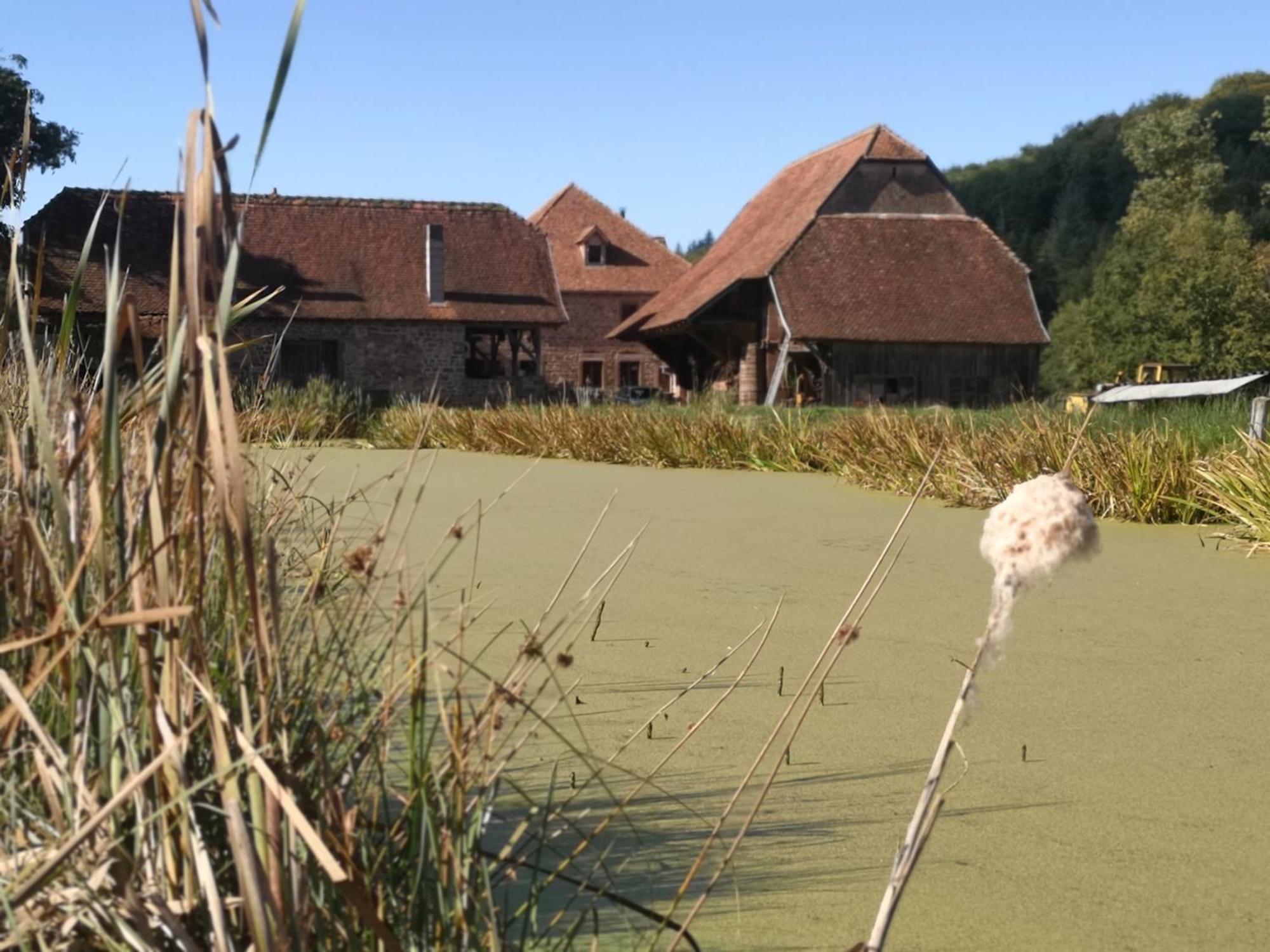 Maison D'Hotes De Charme - Ancien Moulin En Pleine Nature - La Paulusmuehle Soucht المظهر الخارجي الصورة