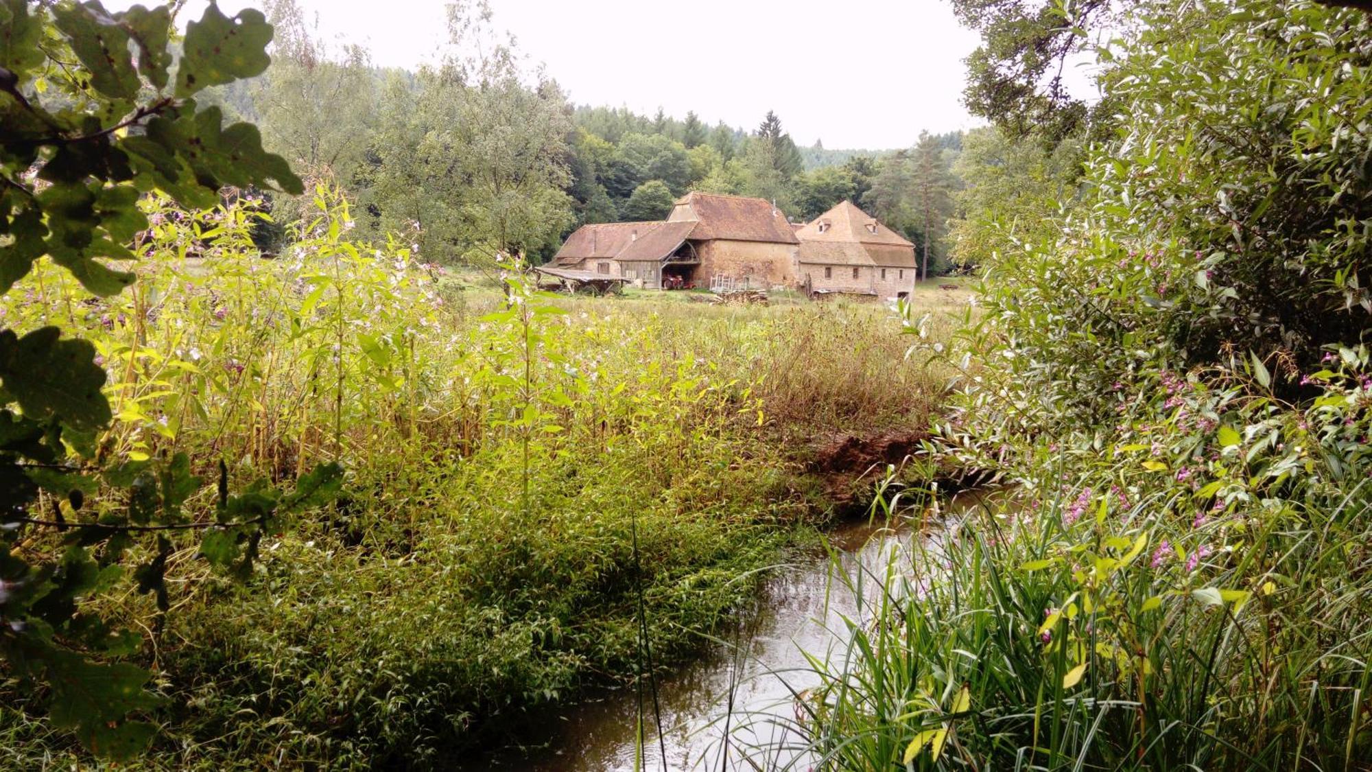 Maison D'Hotes De Charme - Ancien Moulin En Pleine Nature - La Paulusmuehle Soucht المظهر الخارجي الصورة