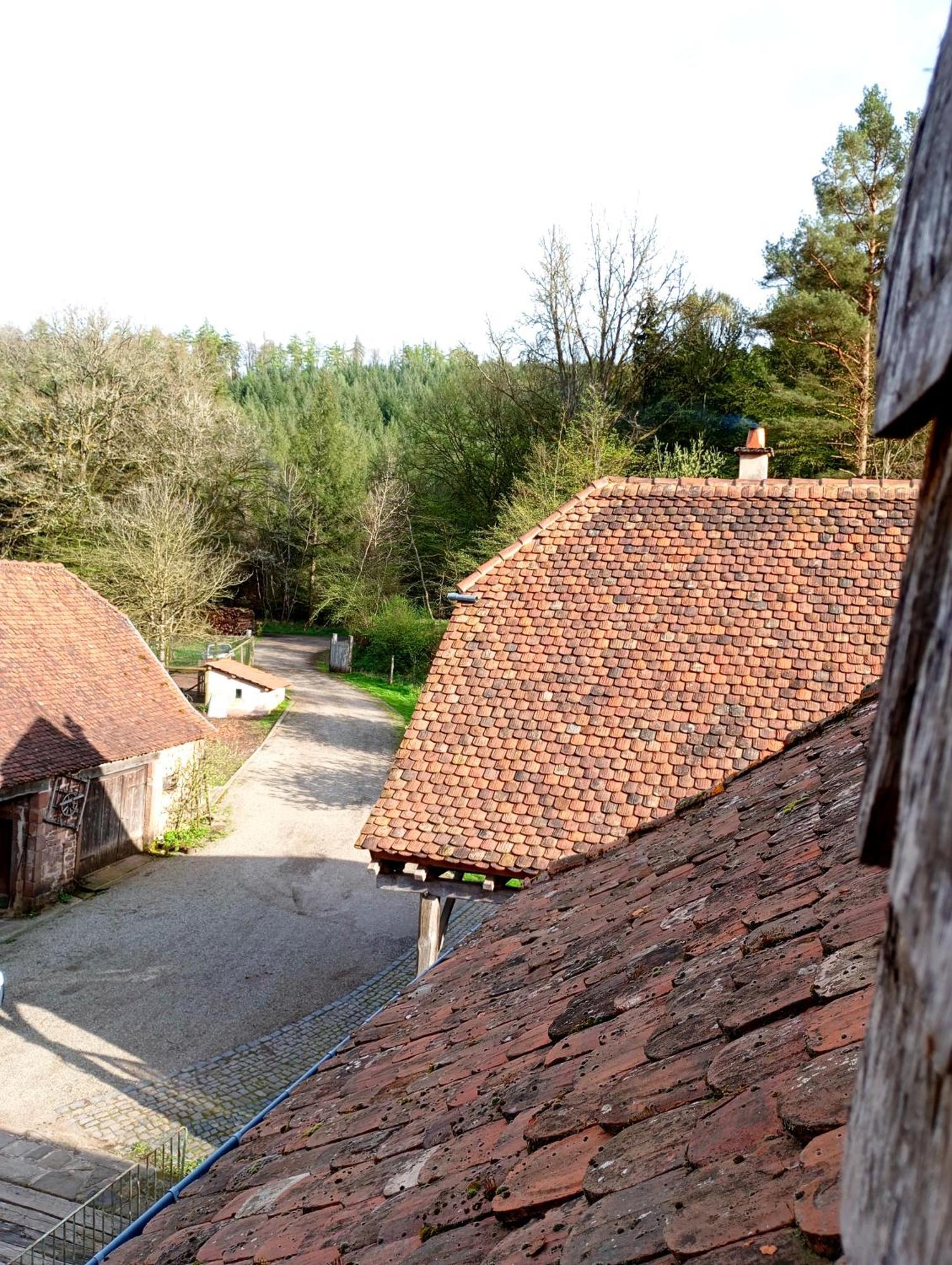 Maison D'Hotes De Charme - Ancien Moulin En Pleine Nature - La Paulusmuehle Soucht المظهر الخارجي الصورة