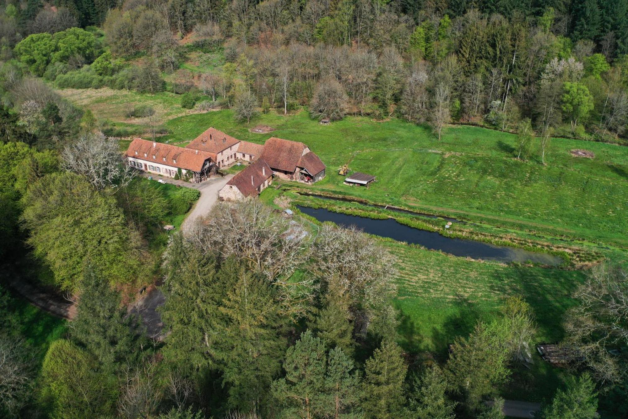 Maison D'Hotes De Charme - Ancien Moulin En Pleine Nature - La Paulusmuehle Soucht المظهر الخارجي الصورة