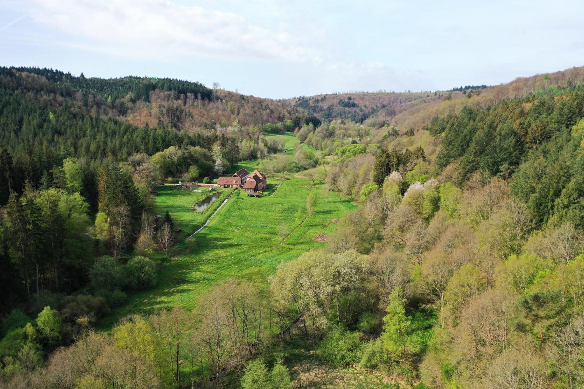 Maison D'Hotes De Charme - Ancien Moulin En Pleine Nature - La Paulusmuehle Soucht المظهر الخارجي الصورة