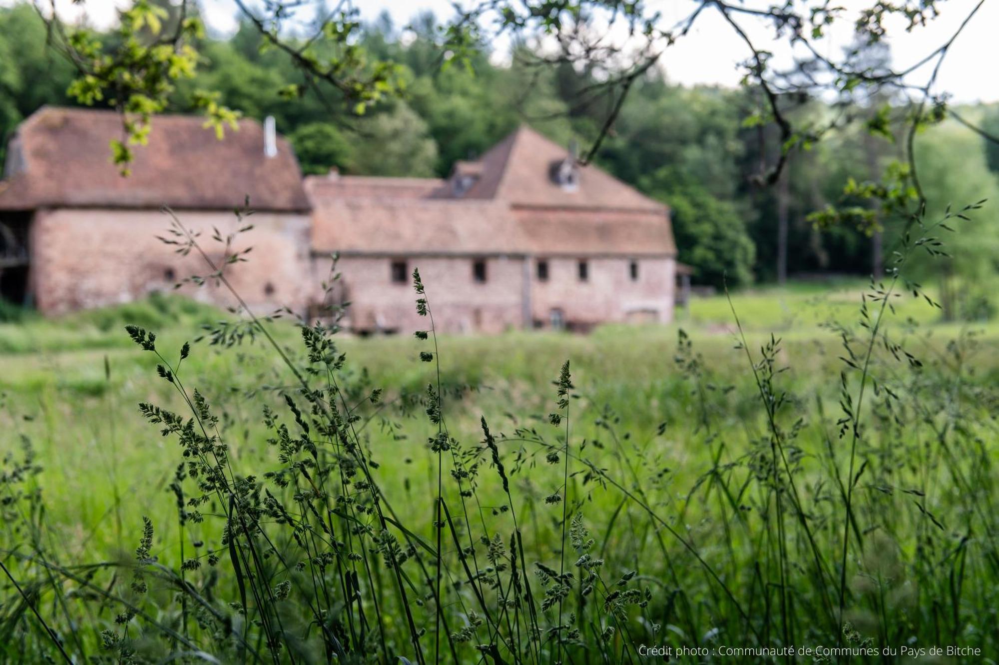 Maison D'Hotes De Charme - Ancien Moulin En Pleine Nature - La Paulusmuehle Soucht المظهر الخارجي الصورة