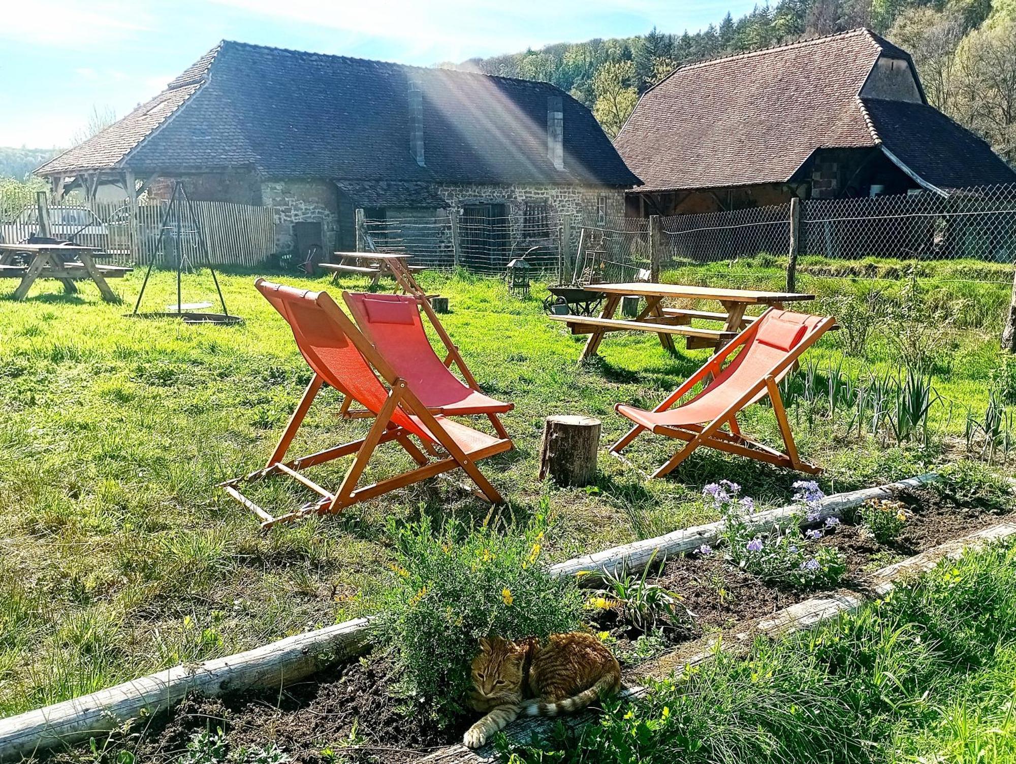 Maison D'Hotes De Charme - Ancien Moulin En Pleine Nature - La Paulusmuehle Soucht المظهر الخارجي الصورة